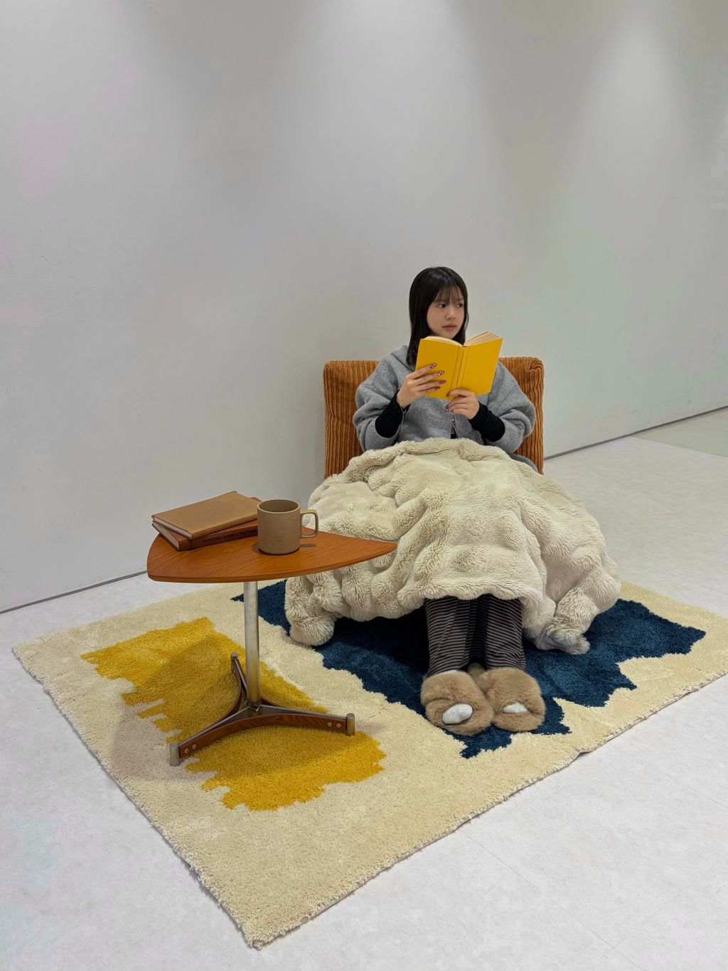 JOURNAL STANDARD FURNITURE