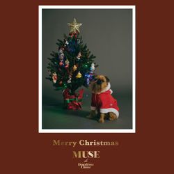 MUSE Christmas Party Invitation 🎄 — December 19 (Fri.)｜MUSE de