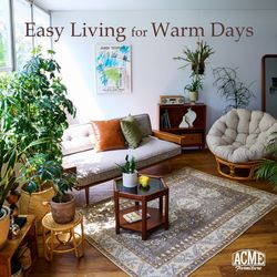 心地よく整える、夏のリビング｜JOURNAL STANDARD FURNITURE｜ブログ