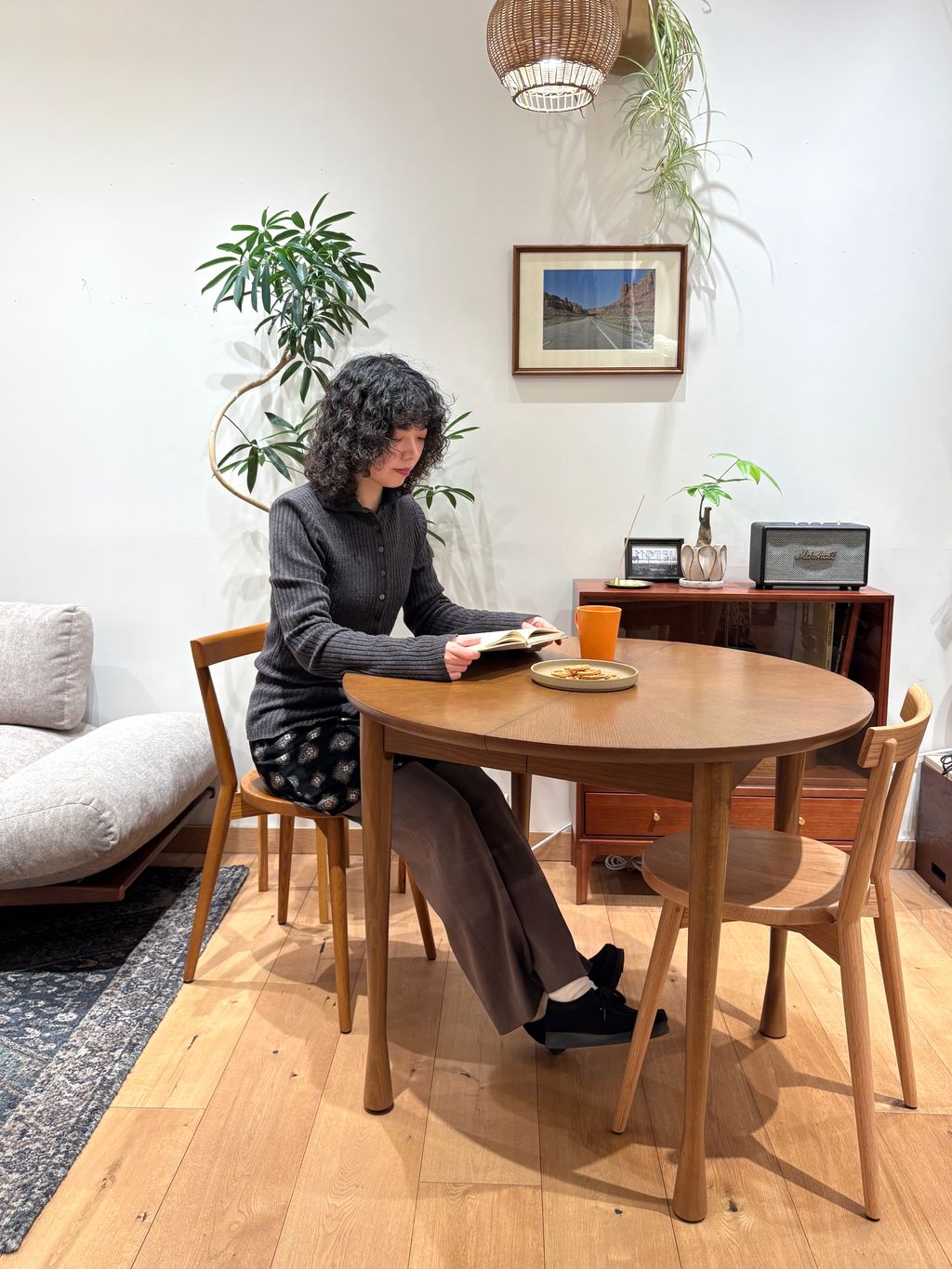 JOURNAL STANDARD FURNITURE