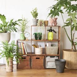 新生活の買い足しに！おすすめ収納家具｜JOURNAL STANDARD FURNITURE