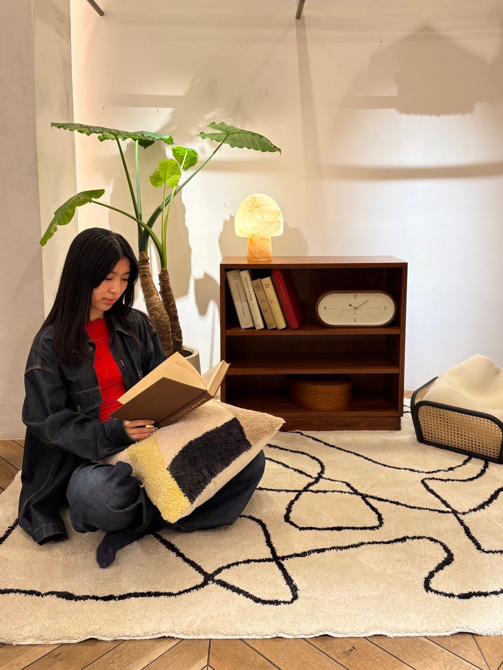 JOURNAL STANDARD FURNITURE