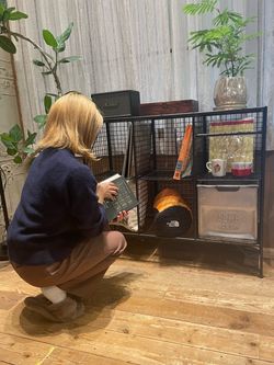 大型商品》PAXTON MESHRACK 6 GRID_WIDE パクストン メッシュラックの